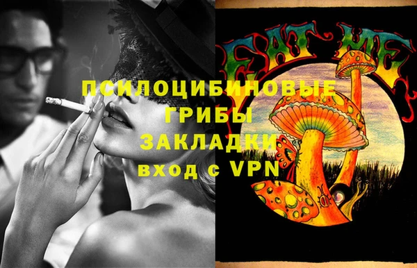 таблы Богданович