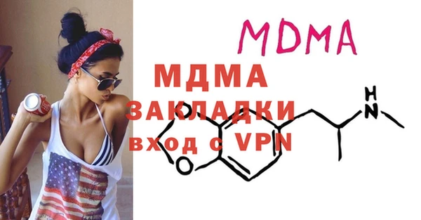индика Бородино
