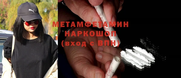 индика Бородино