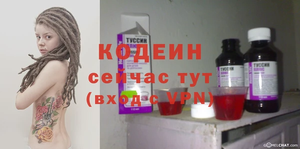 индика Бородино