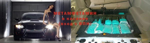индика Бородино