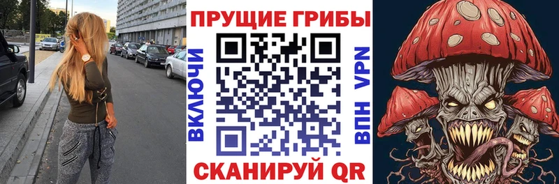 Псилоцибиновые грибы MAGIC MUSHROOMS  mega ТОР  Тотьма 