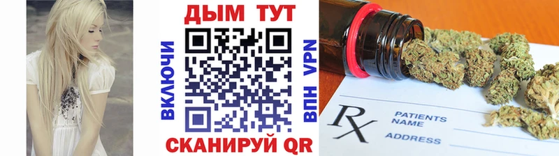 где можно купить   Тотьма  Канабис гибрид 